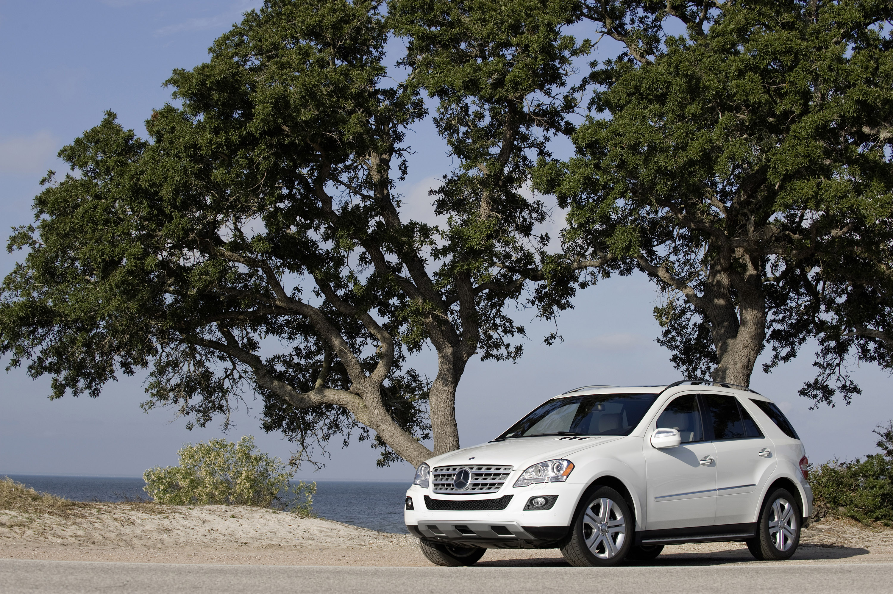 Mercedes-Benz M-Class photo #19