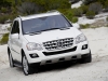 2009 Mercedes-Benz M-Class thumbnail photo 37561