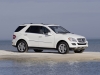 2009 Mercedes-Benz M-Class thumbnail photo 37570