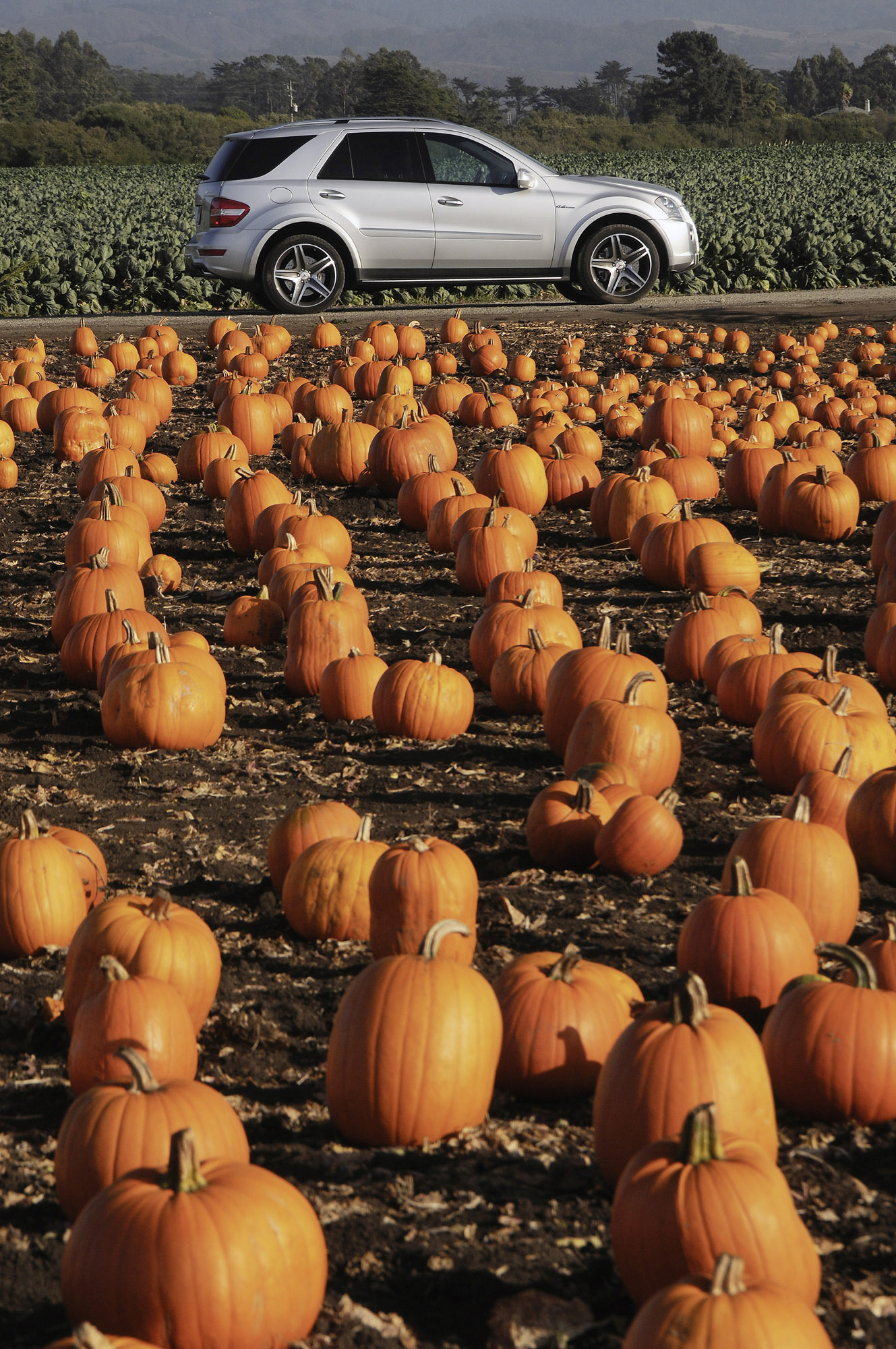 Mercedes-Benz ML63 AMG 10th Anniversary photo #26