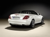 Mercedes-Benz SLK 2LOOK Edition 2009