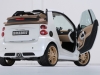 2010 Brabus Smart ForTwo Tailor Made thumbnail photo 18731