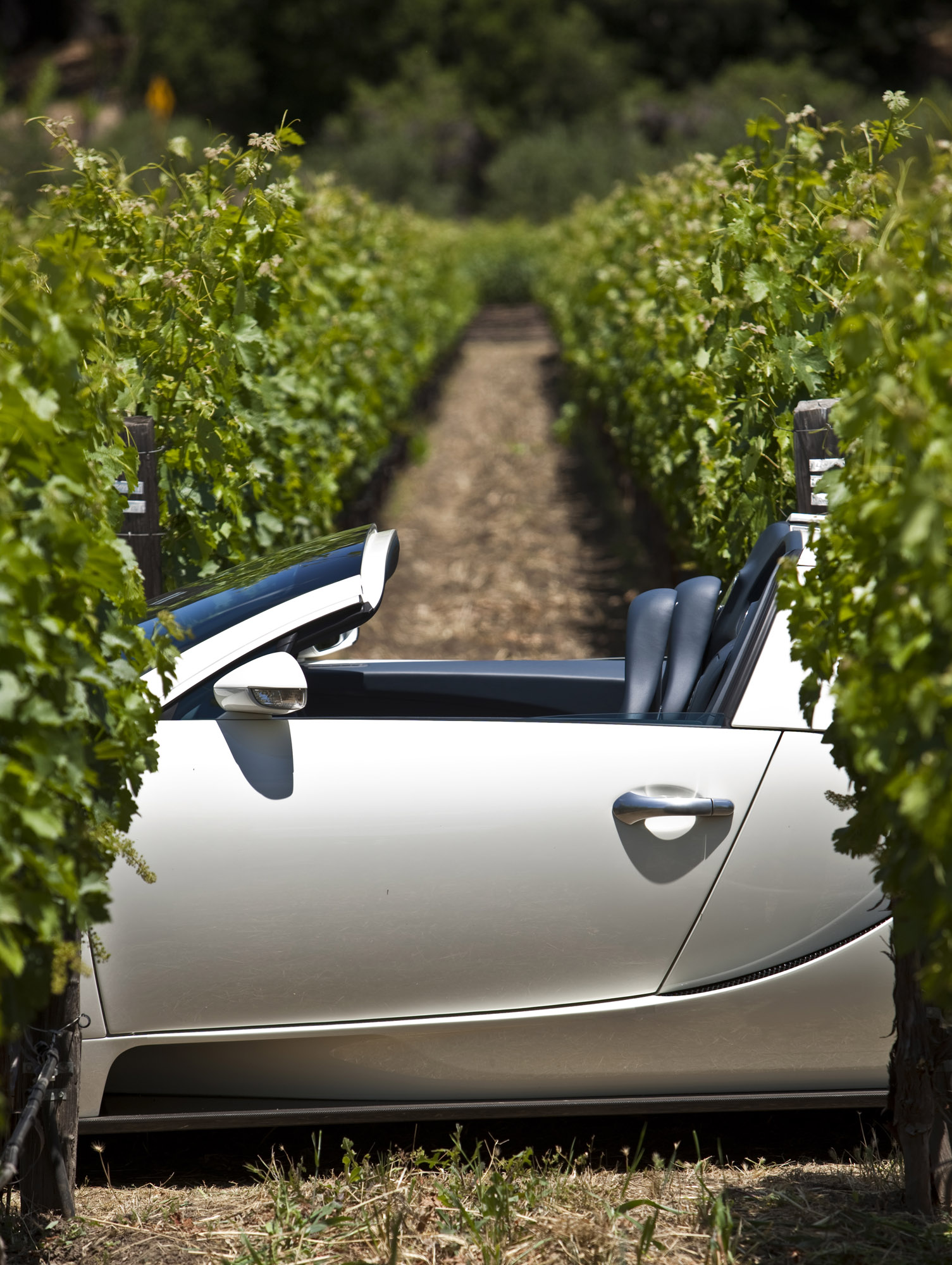 Bugatti Veyron 16.4 Grand Sport Napa Valley photo #16