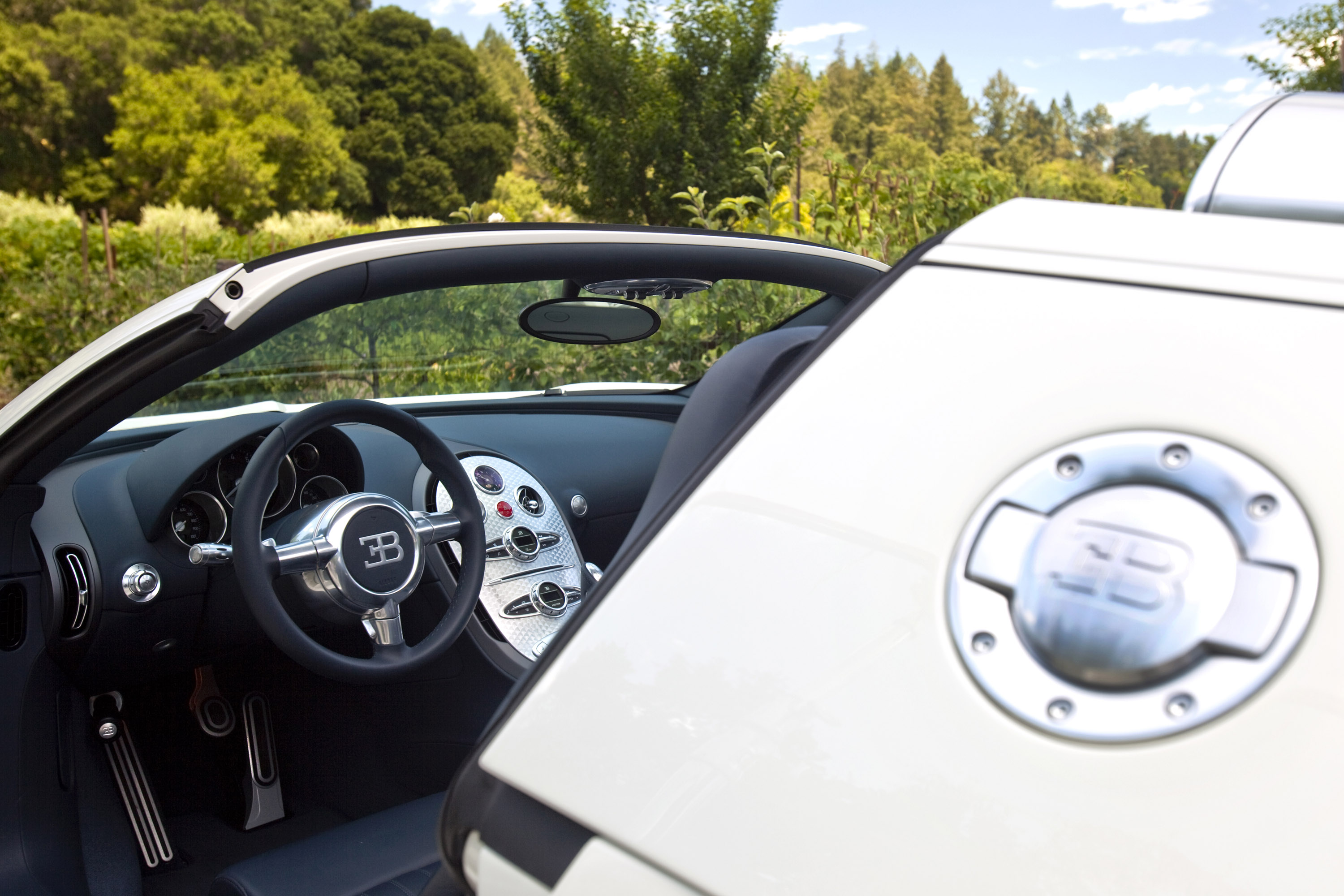 Bugatti Veyron 16.4 Grand Sport Napa Valley photo #19