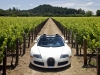 Bugatti Veyron 16.4 Grand Sport Napa Valley 2010