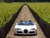 Bugatti Veyron 16.4 Grand Sport Napa Valley 2010