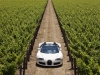 Bugatti Veyron 16.4 Grand Sport Napa Valley 2010