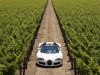 2010 Bugatti Veyron 16.4 Grand Sport Napa Valley thumbnail photo 29616