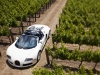 Bugatti Veyron 16.4 Grand Sport Napa Valley 2010