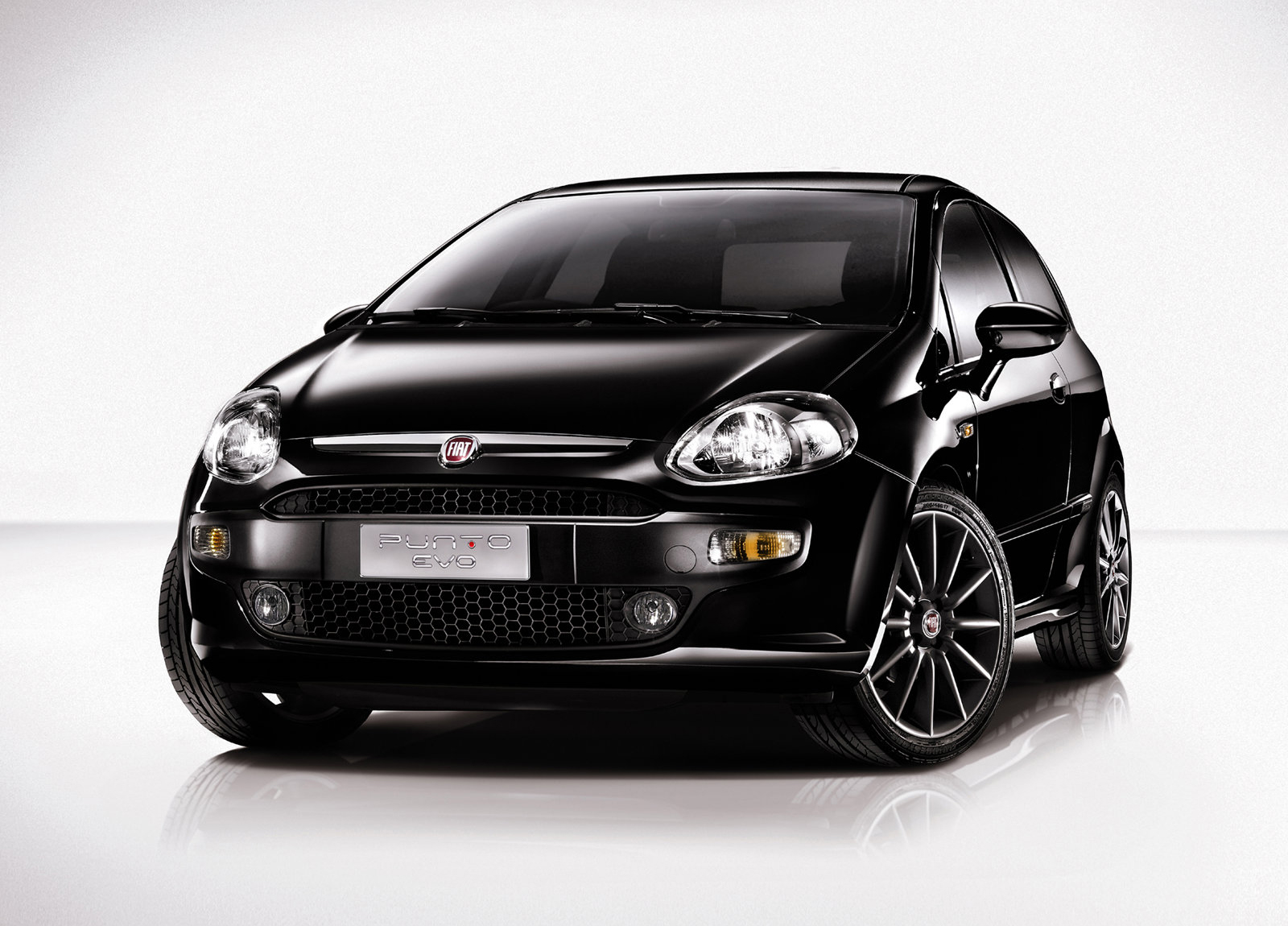 Fiat Punto Evo photo #1