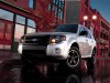 2010 Ford Escape thumbnail photo 84462