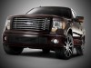 2010 Ford F-150 Harley-Davidson thumbnail photo 84435