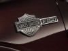 2010 Ford F-150 Harley-Davidson thumbnail photo 84444