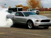2010 Ford Mustang Cobra Jet thumbnail photo 84285