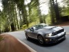 Ford Mustang Shelby GT500 Convertible 2010