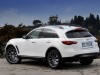 2010 Infiniti FX Limited Edition thumbnail photo 61748