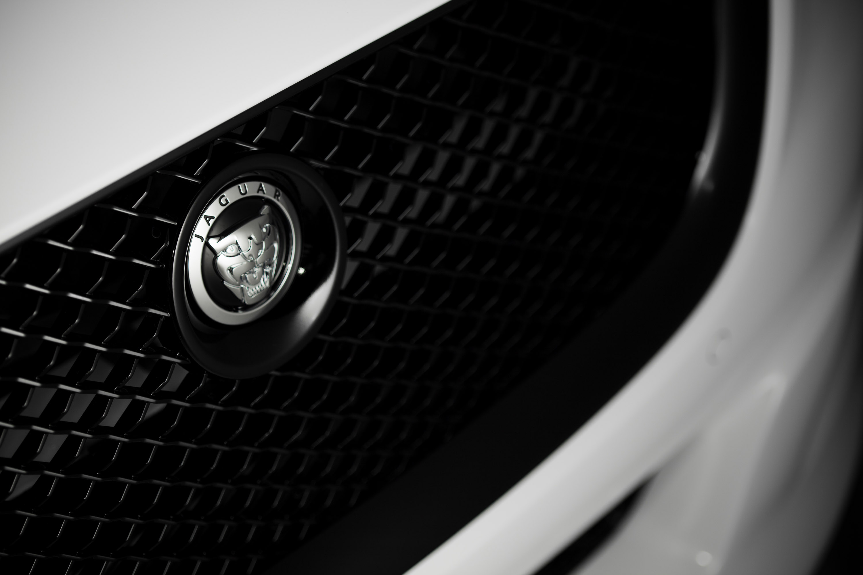Jaguar XJ75 Platinum Concept photo #18