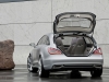 Mercedes-Benz Shooting Break Concept 2010