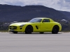 Mercedes-Benz SLS AMG E-Cell Concept 2010