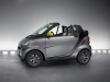 2010 Smart ForTwo Edition Greystyle