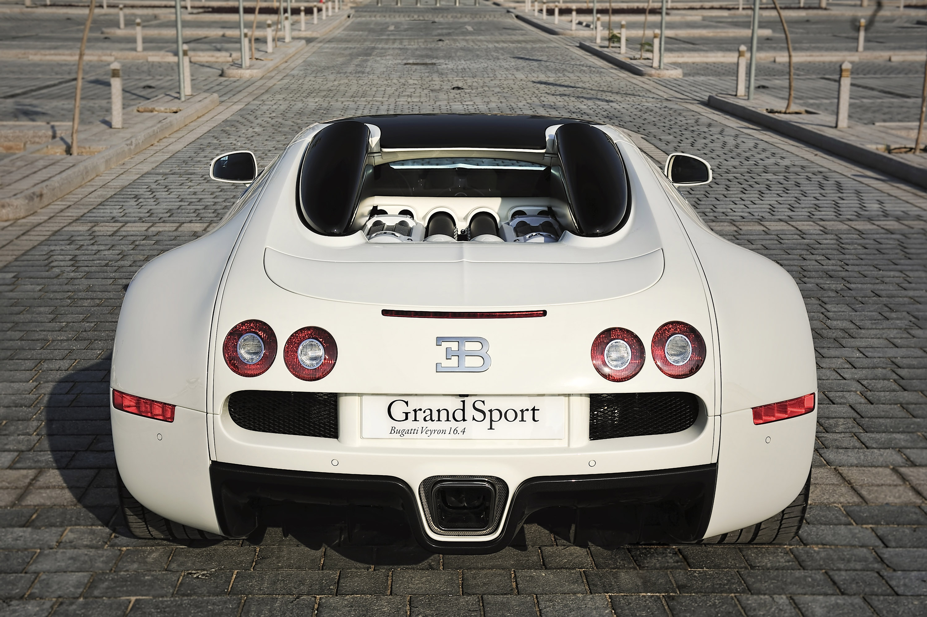 Bugatti Veyron 16.4 Grand Sport Qatar photo #20