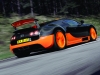 2011 Bugatti Veyron 16.4 Super Sport thumbnail photo 29783