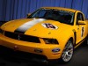 Ford Mustang Boss 302R 2011