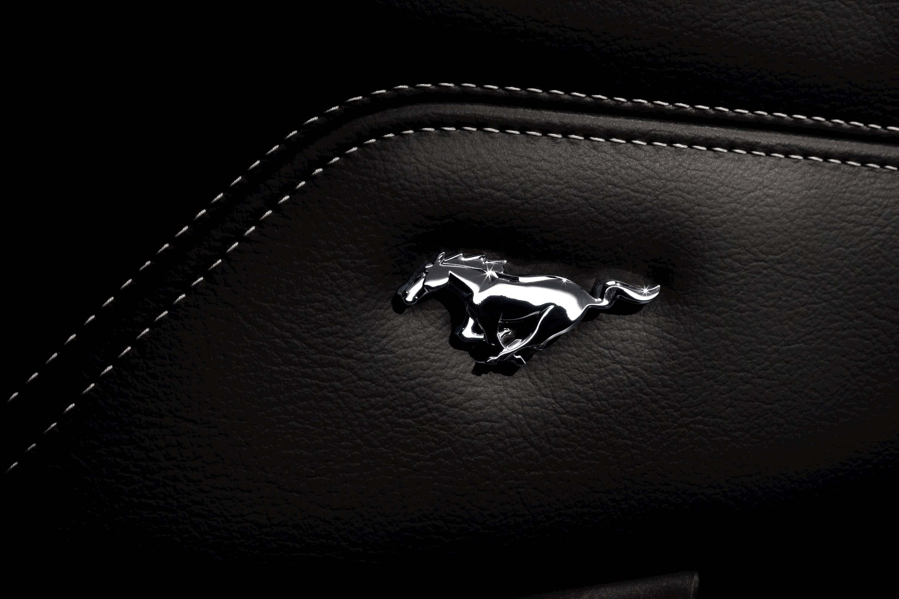 Ford Mustang GT photo #65