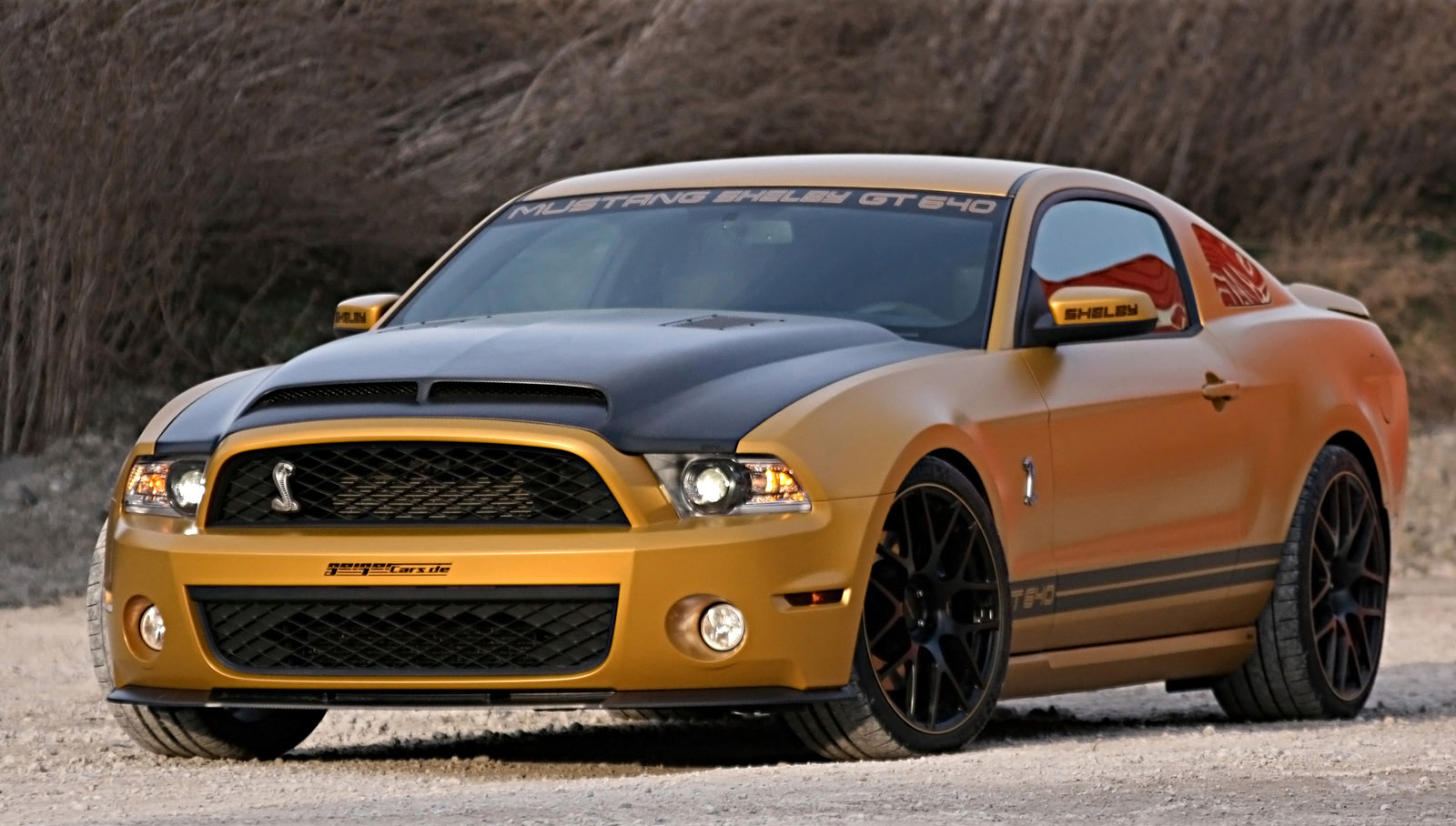 GeigerCars Ford Mustang Shelby GT640 Golden Snake photo #1