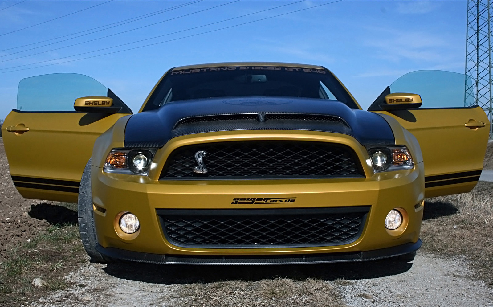 GeigerCars Ford Mustang Shelby GT640 Golden Snake photo #3