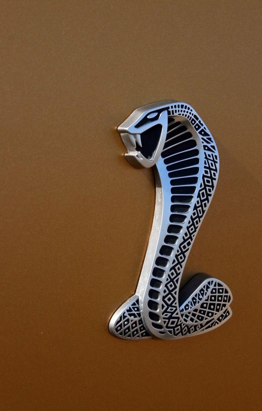 GeigerCars Ford Mustang Shelby GT640 Golden Snake photo #17