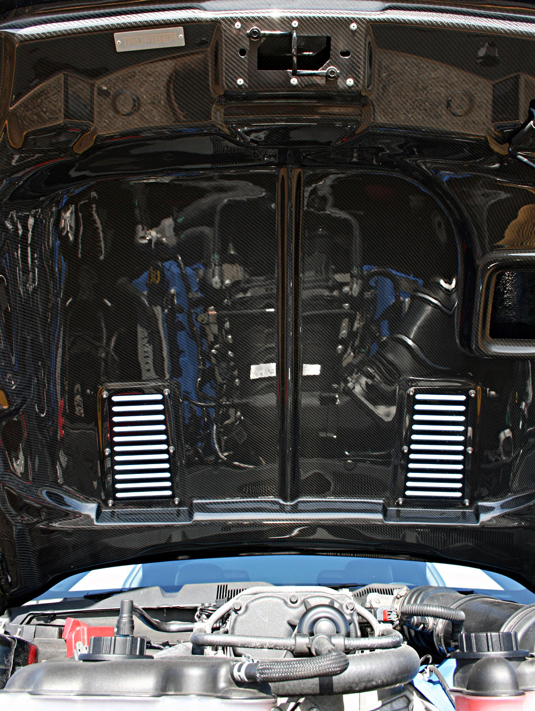 GeigerCars Ford Mustang Shelby GT640 Golden Snake photo #18