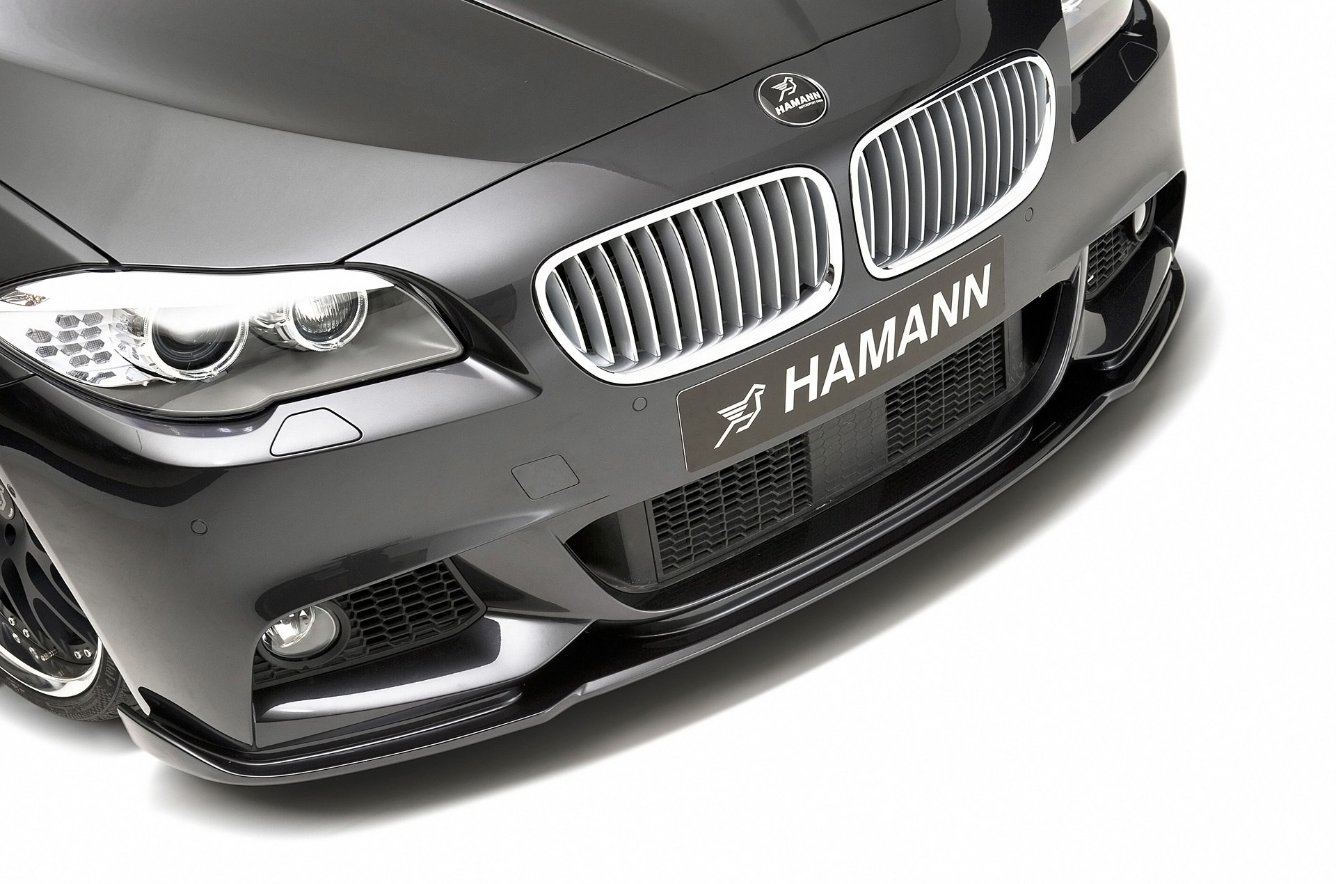Hamann BMW 5-Series F10 M Technik photo #11