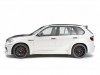 2011 Hamann BMW X5 Flash Evo M thumbnail photo 76941