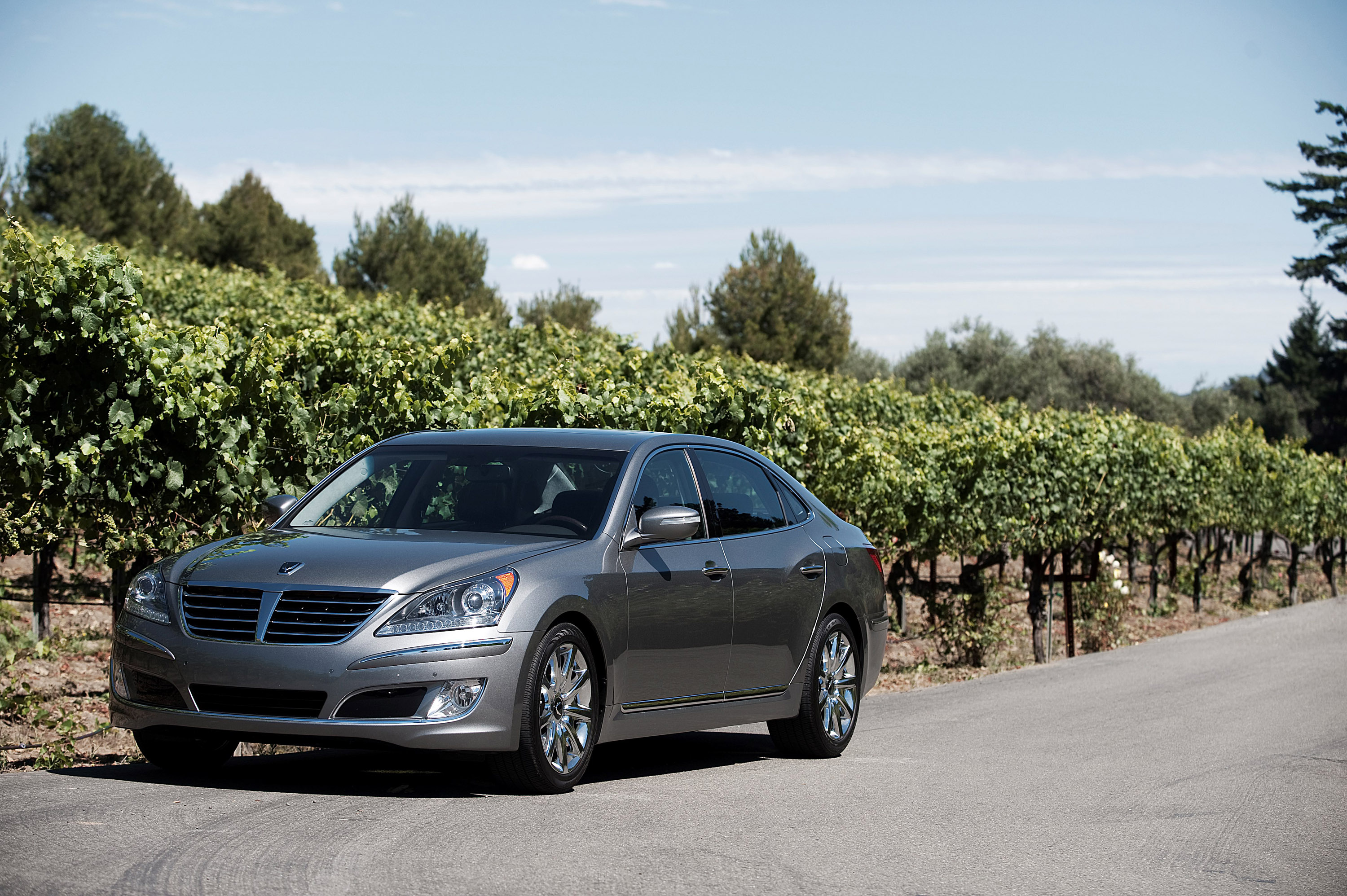 Hyundai Equus photo #9