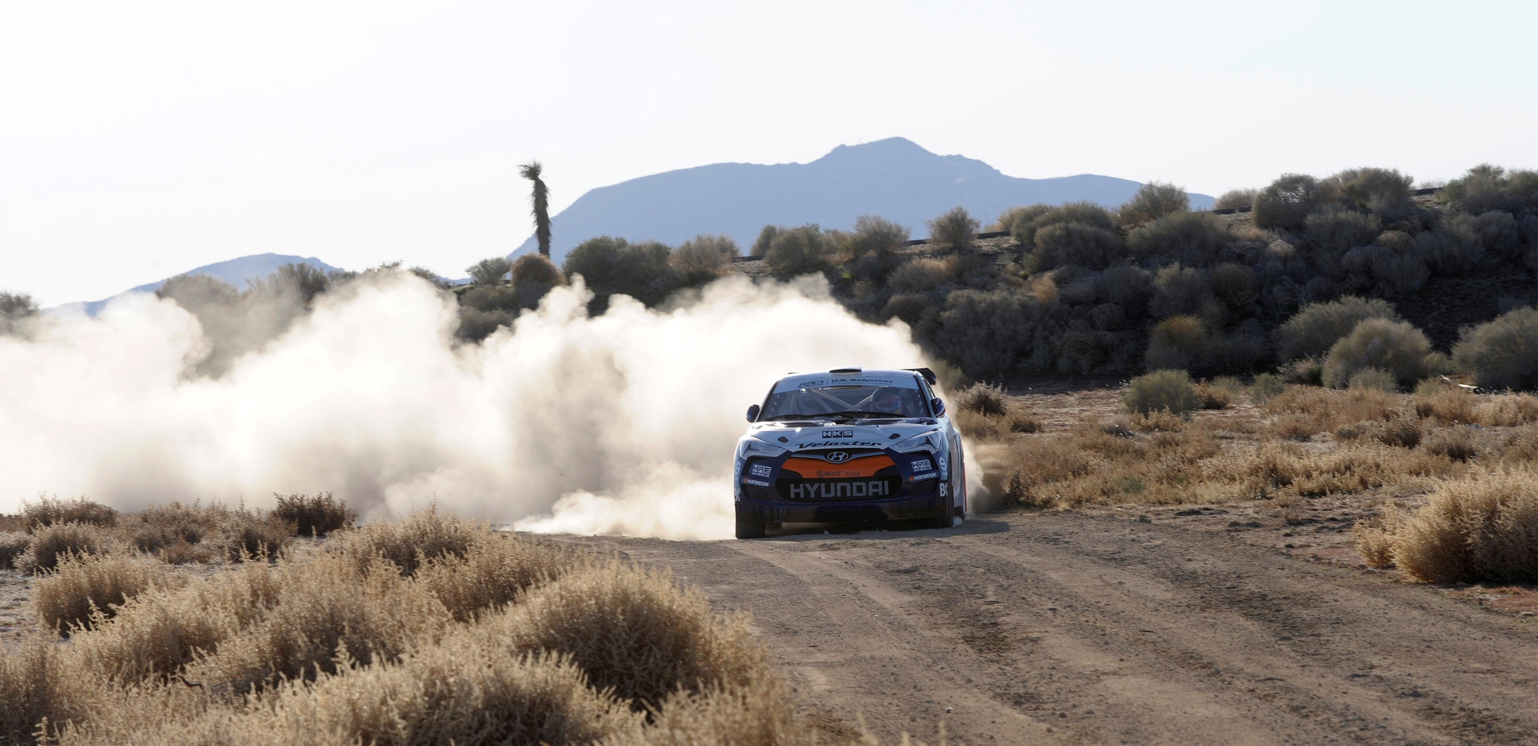 Hyundai Veloster Rally Car photo #16