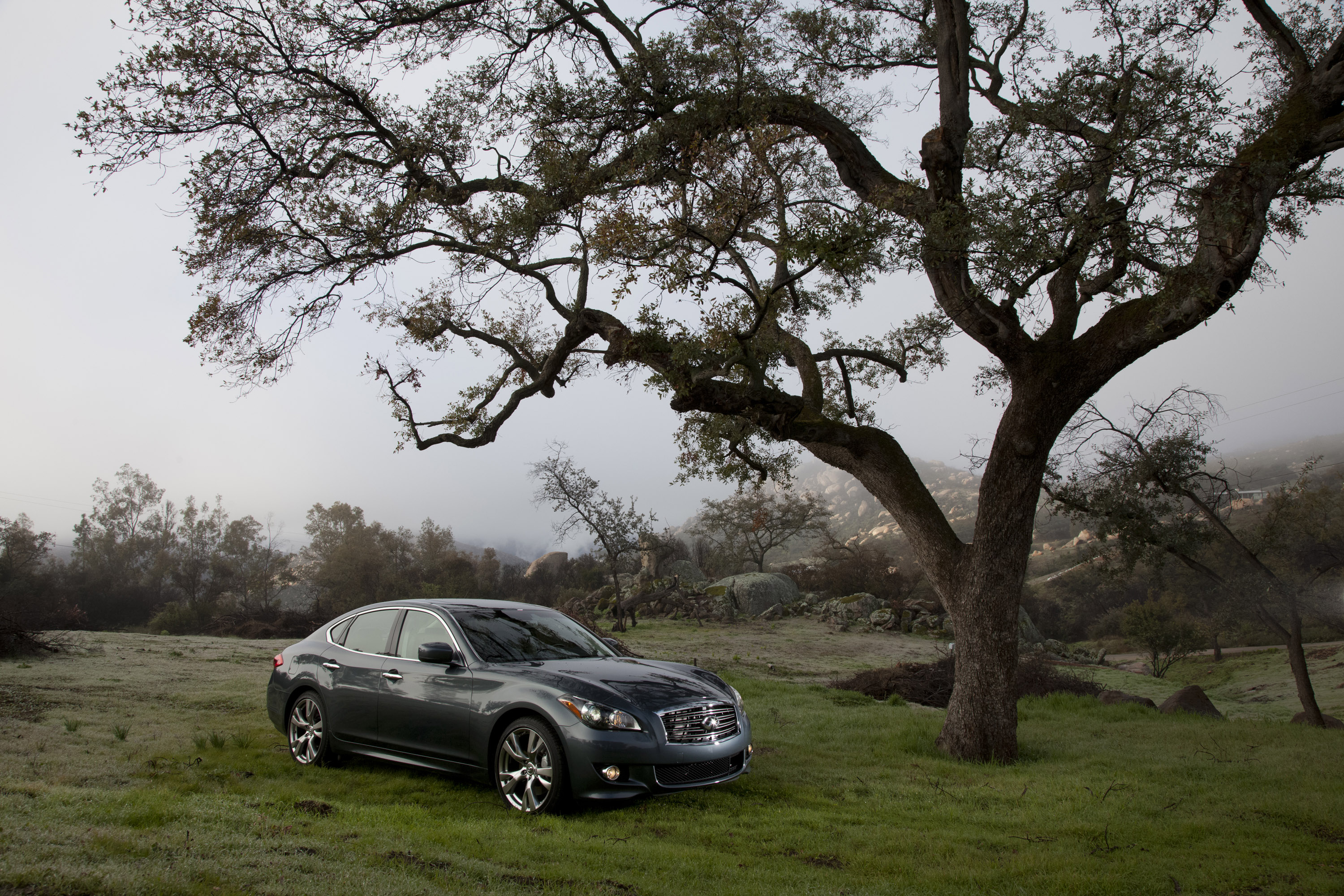 Infiniti M photo #19