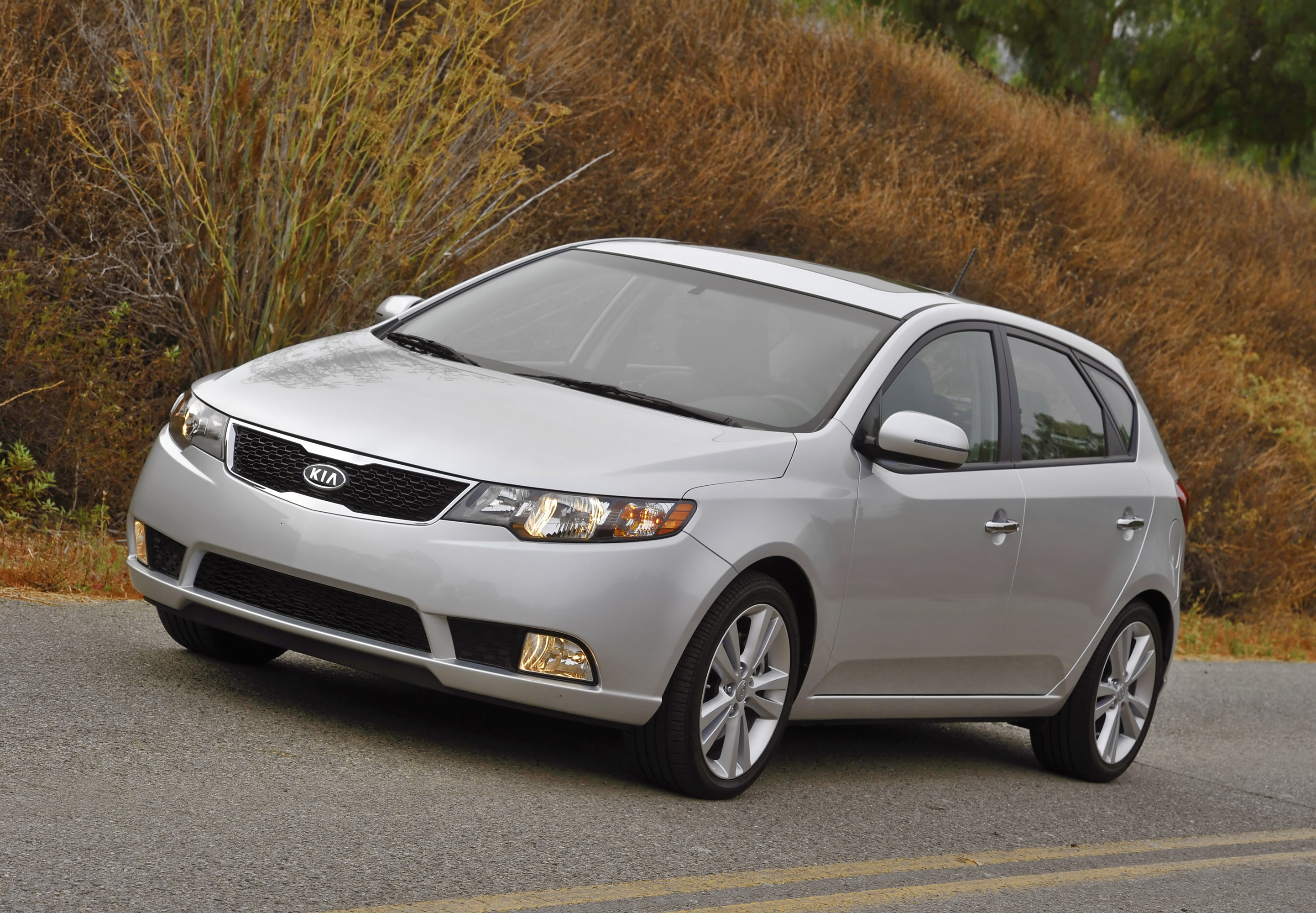 Kia Forte photo #43