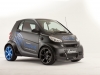 2011 Lorinser Smart ForTwo Easybrid thumbnail photo 18887