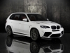 Mansory BMW X5 M 2011