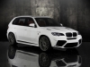 2011 Mansory BMW X5 M thumbnail photo 19768