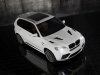 Mansory BMW X5 M 2011