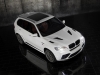 2011 Mansory BMW X5 M thumbnail photo 19771