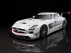 2011 Mercedes-Benz SLS AMG GT3 thumbnail photo 36191