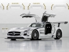 2011 Mercedes-Benz SLS AMG GT3 thumbnail photo 36194