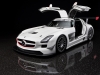 2011 Mercedes-Benz SLS AMG GT3 thumbnail photo 36195