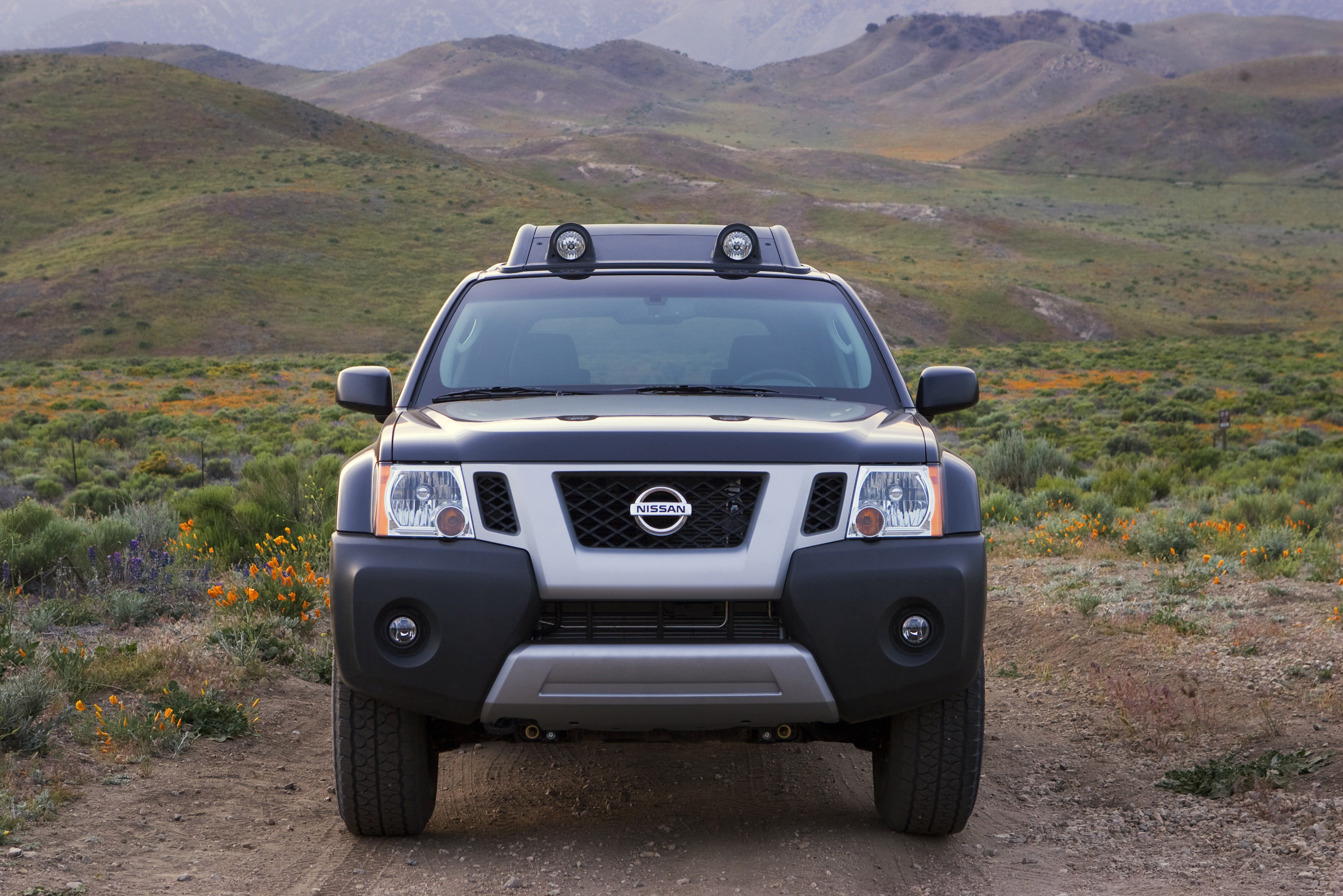 Nissan Xterra photo #18