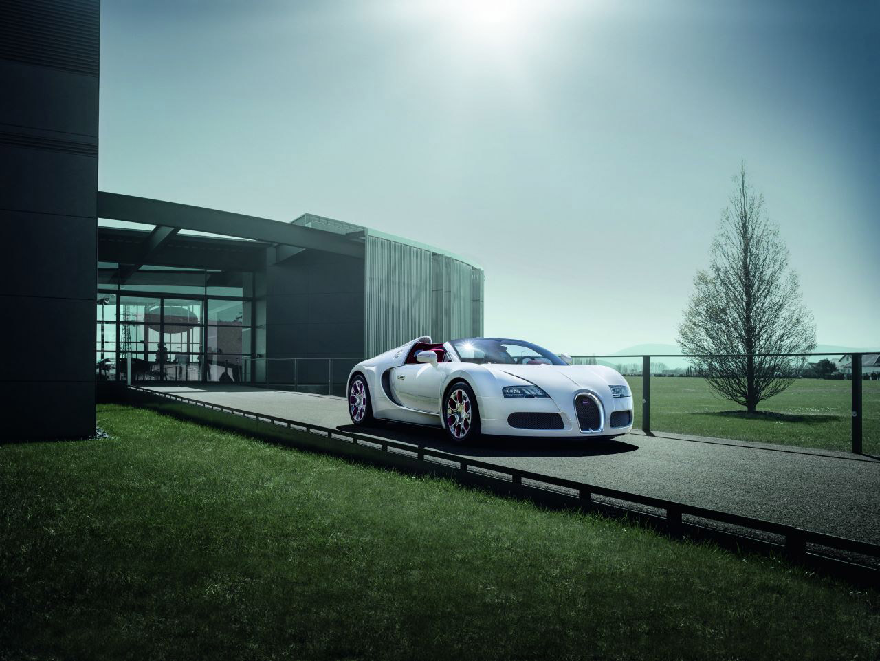 Bugatti Veyron Grand Sport Wei Long photo #2