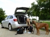 Chevrolet Cruze Wagon 2012