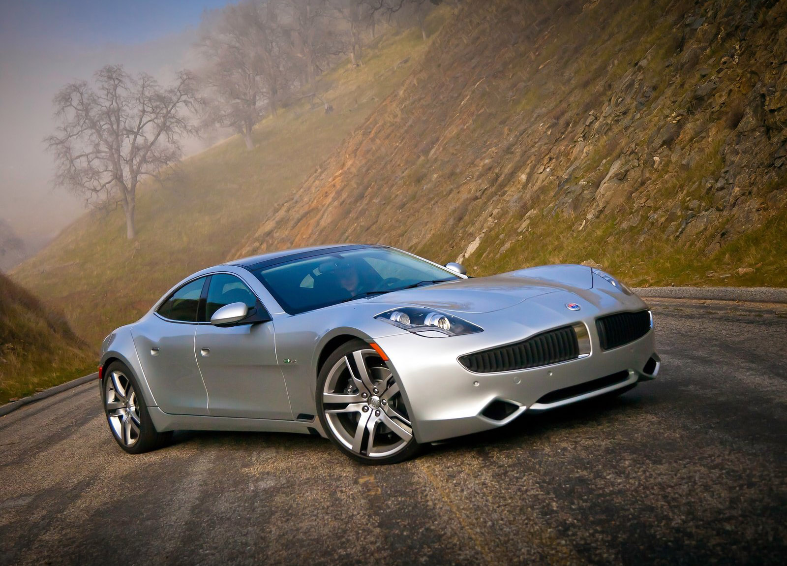 Fisker Karma photo #9